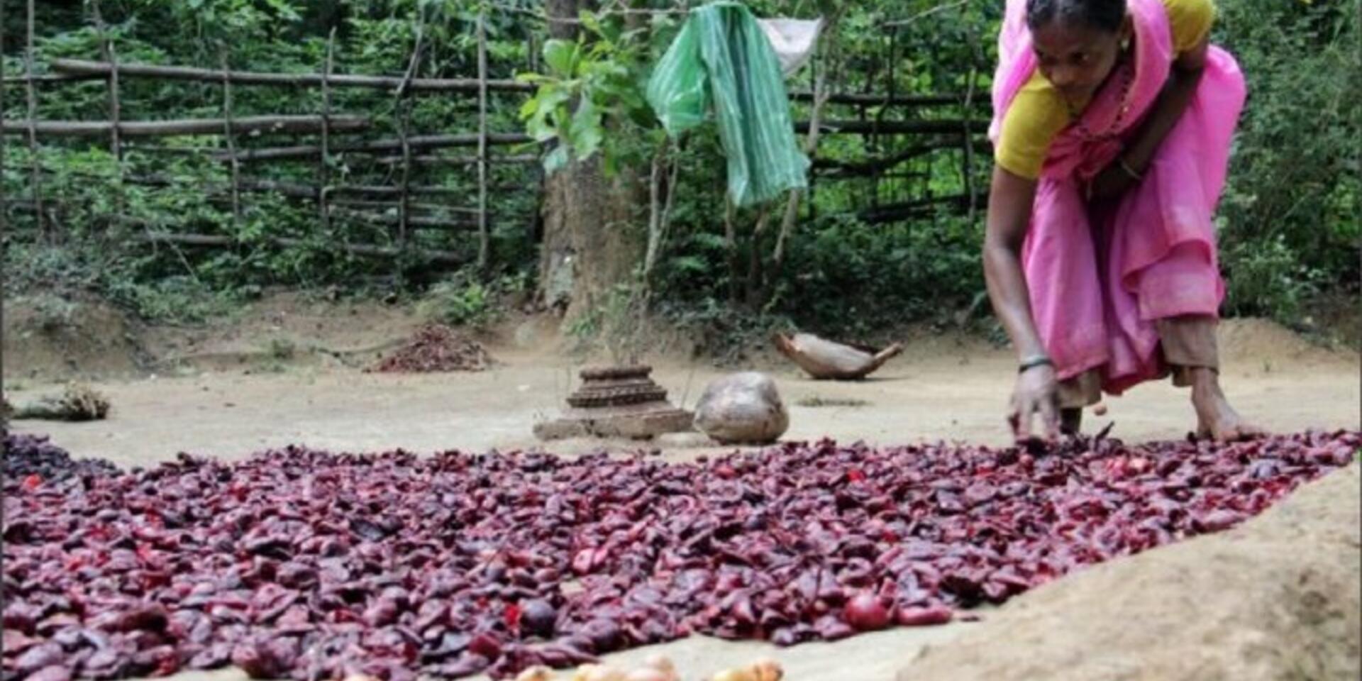 Piloting a gender-responsive tool for assessing the poverty impacts of value chain development