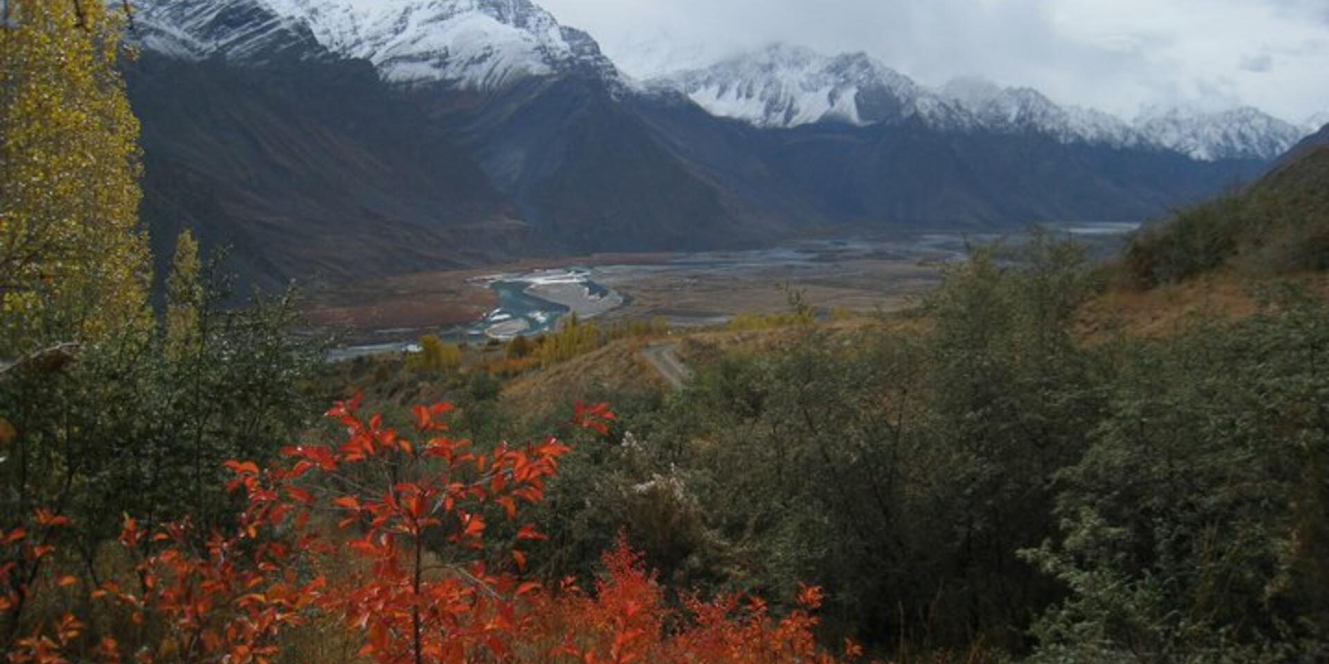 Learning from resilient landscapes