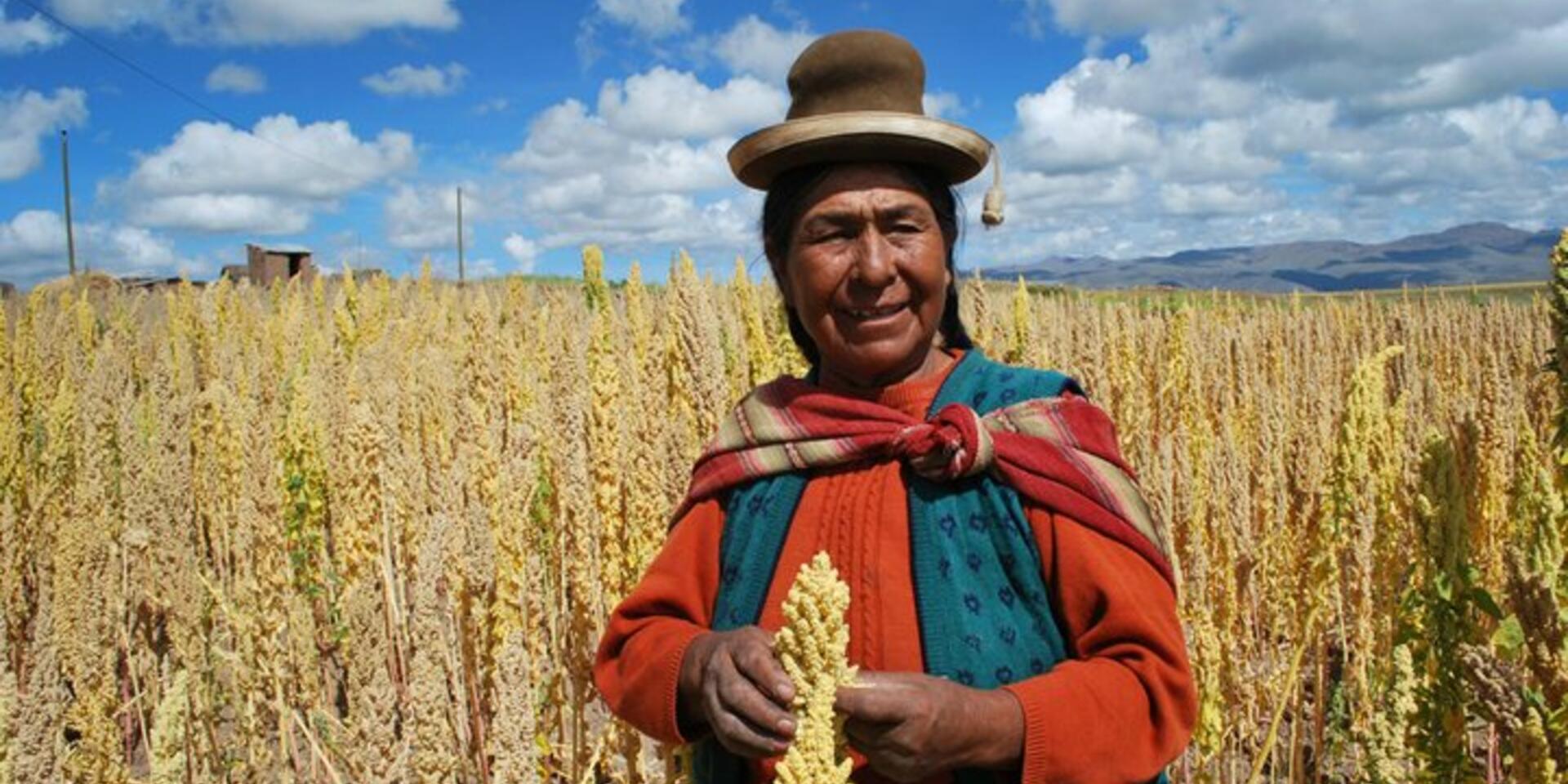 Food for thought on Andean super grains