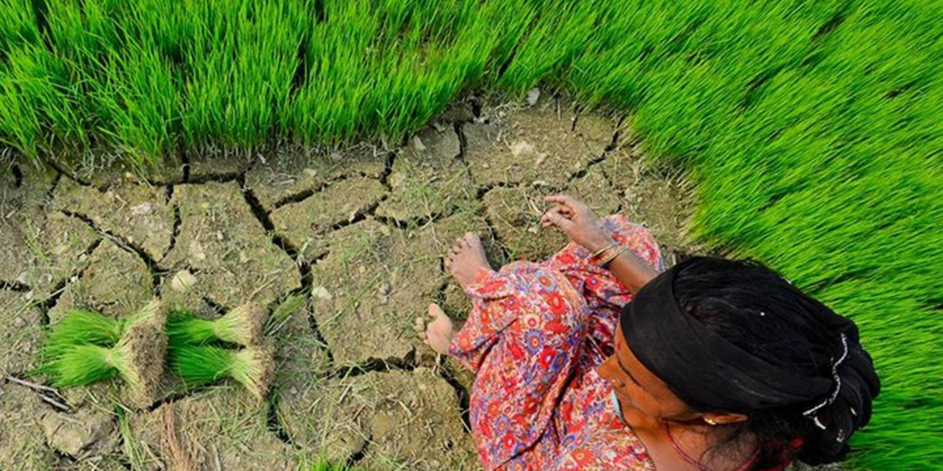 Earth Day 2020: Climate Action for resilient food systems 