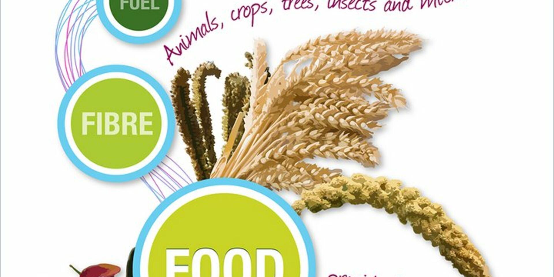 Infographic - What is agricultural biodiversity?