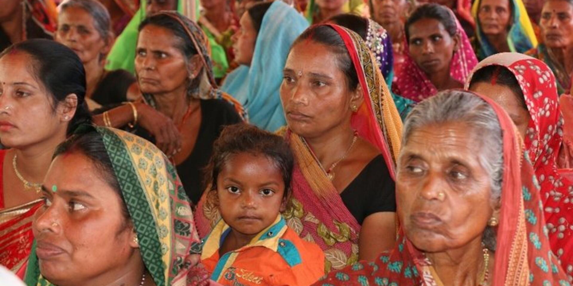 Seeds for Needs &ndash; India: a pathway to diversification