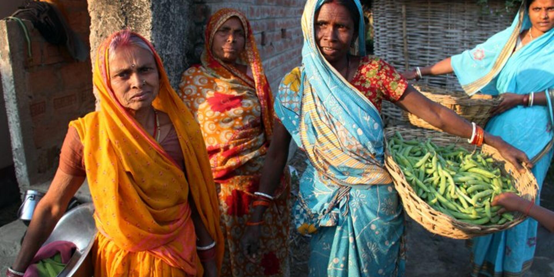 G7 leaders&rsquo; declaration on food security and nutrition