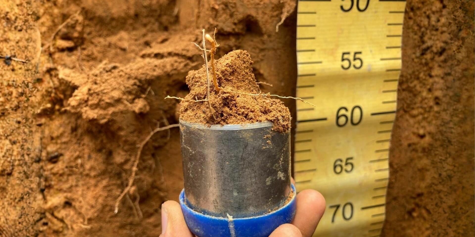 Innovation and carbon sequestration in soils
