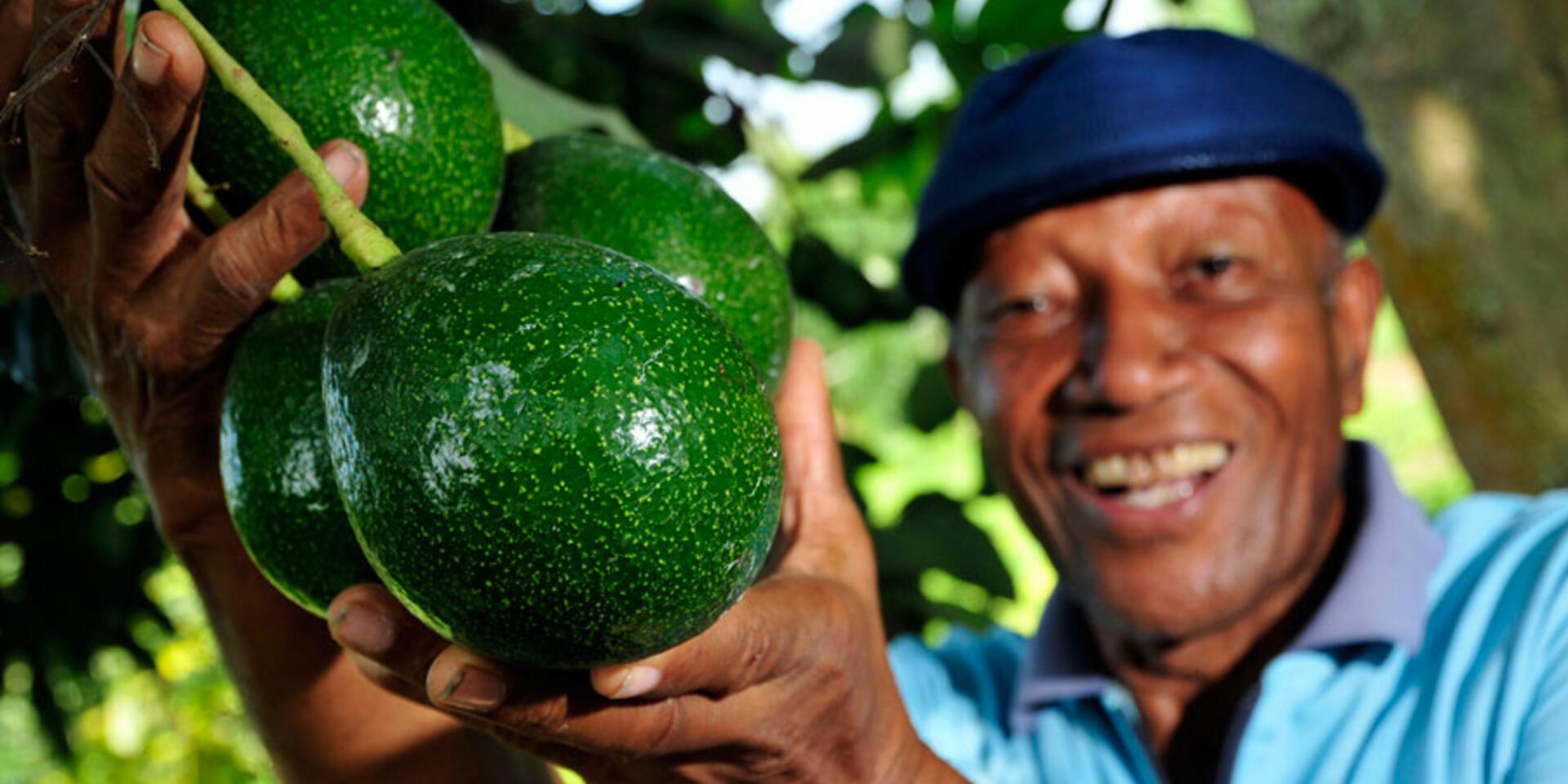 DAPA-Linking Farmers to Market&rsquo;s article wins an award from Banco de la Rep&uacute;blica