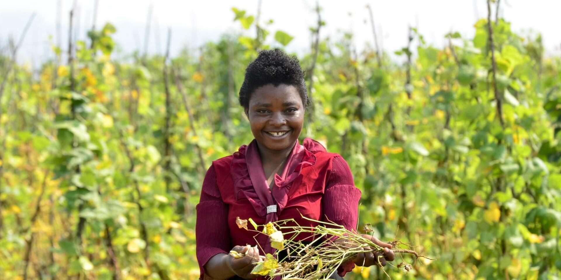 Democratic Republic of the Congo - Alliance of Bioversity International and CIAT