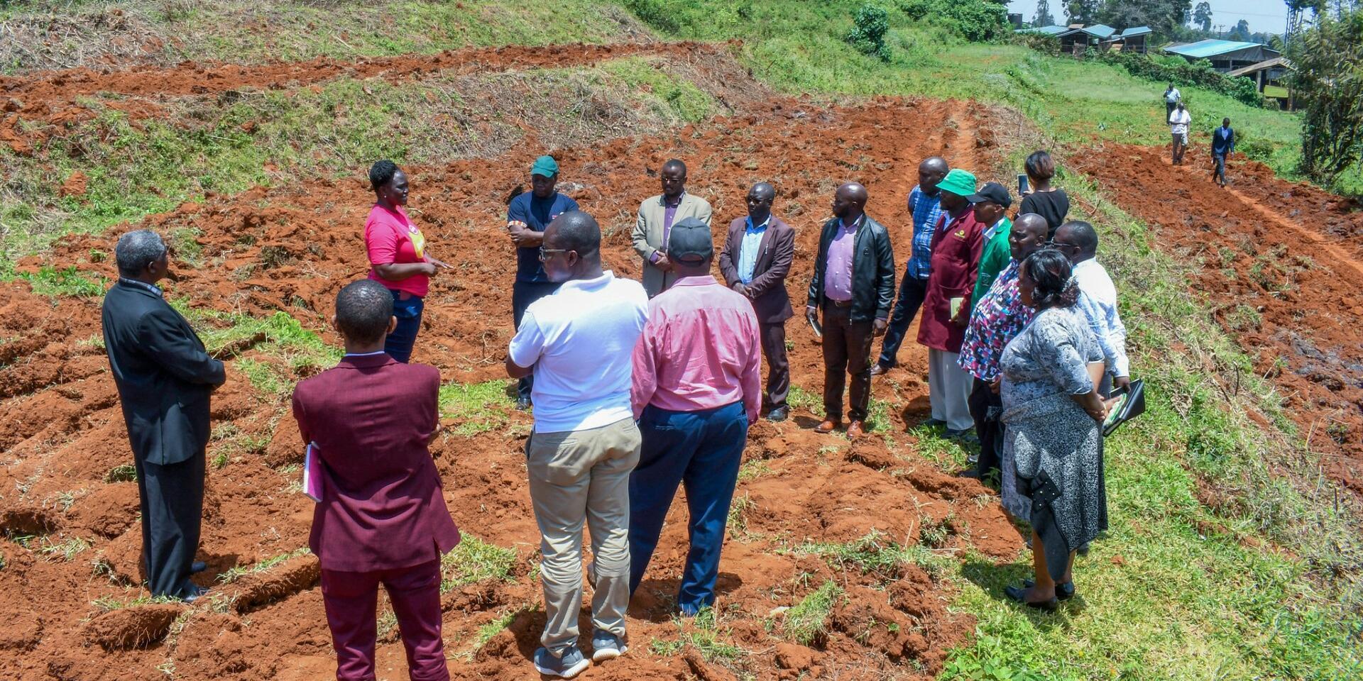 Digital farmer networks boost collective bargaining power in Uganda - But don't close the gender gap
