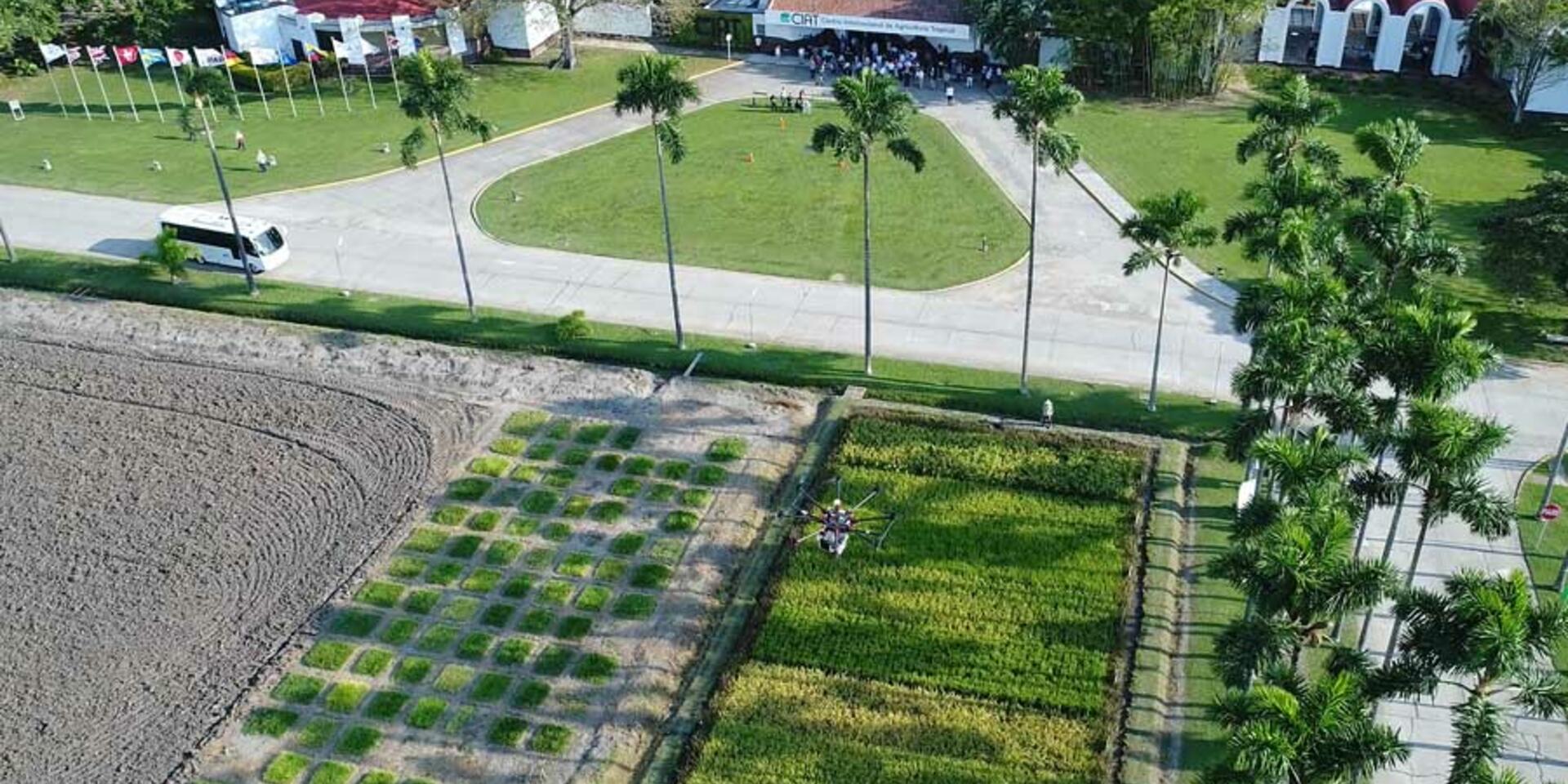 Los ojos del 'Dron', una revoluci&oacute;n agron&oacute;mica en el CIAT