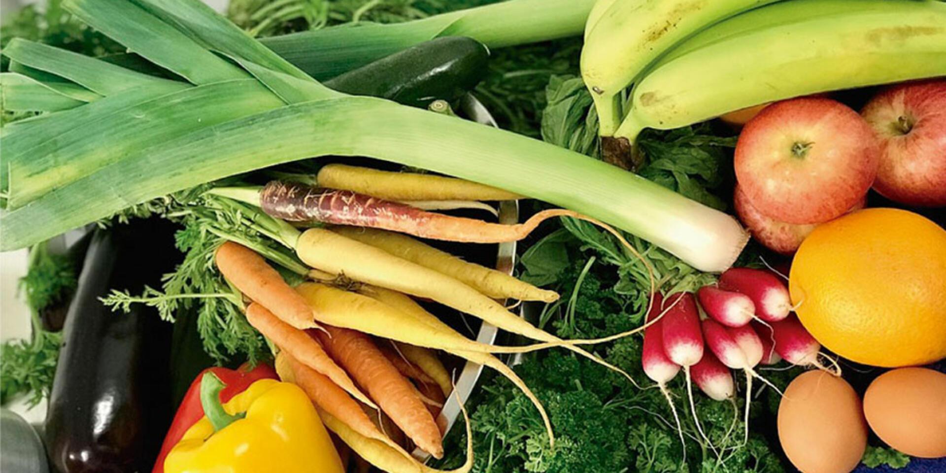 De acuerdo con el Informe EAT-Lancet un cambio en la alimentaci&oacute;n es la v&iacute;a hacia la salud de la poblaci&oacute;n y del planeta