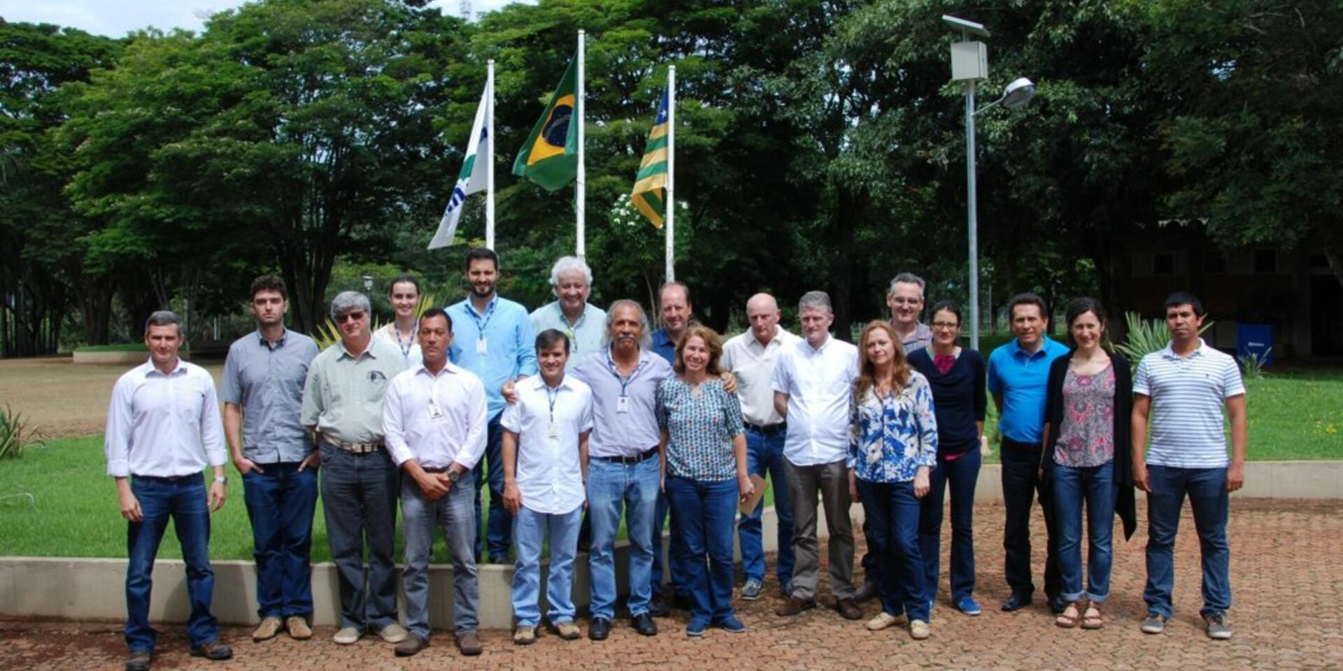 CIAT-Cirad-Embrapa rice researchers meet in Goiania to strengthen collaboration