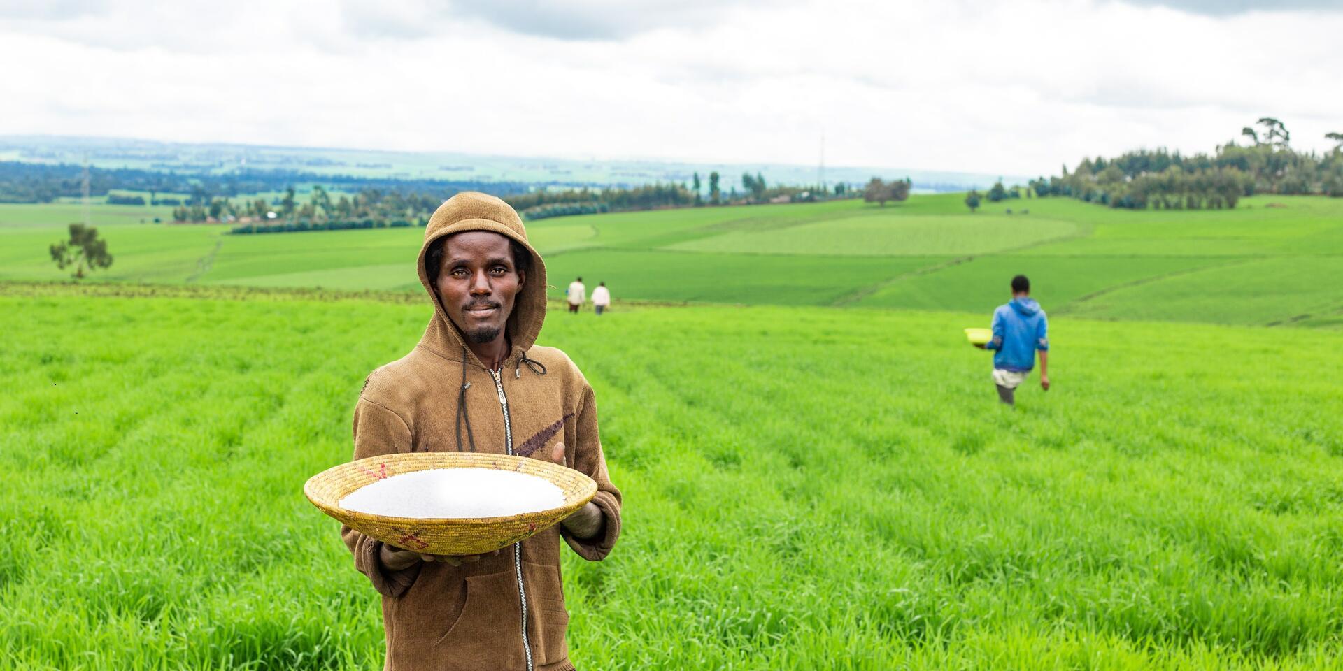 Empowering Smallholder Farmers - The Benefits of Bundling Agricultural Recommendations with Insurance - Credit and Climate Advisory Services - Alliance Bioversity International - CIAT