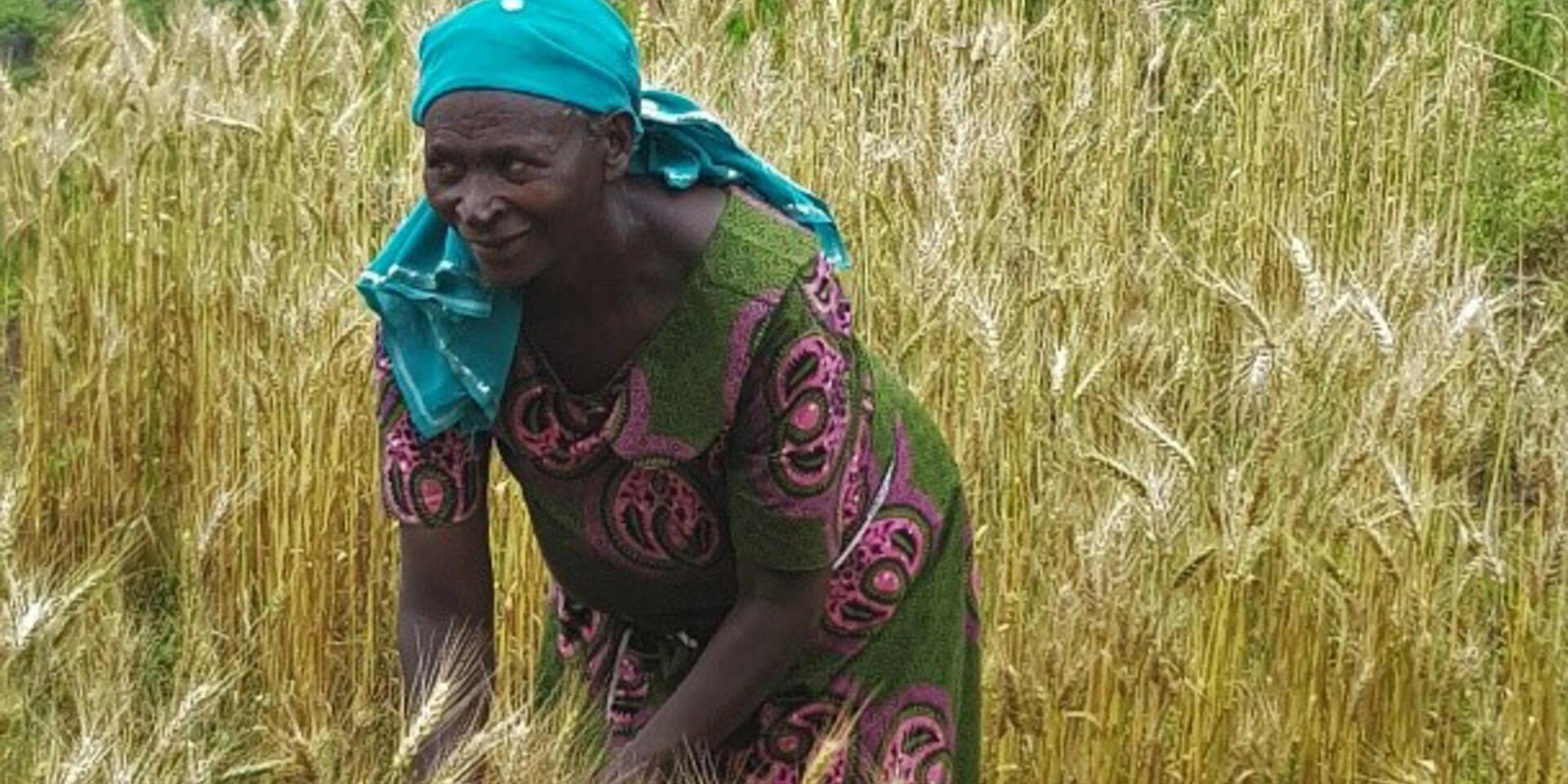 Transformed livelihoods empowering rural women in Rwanda