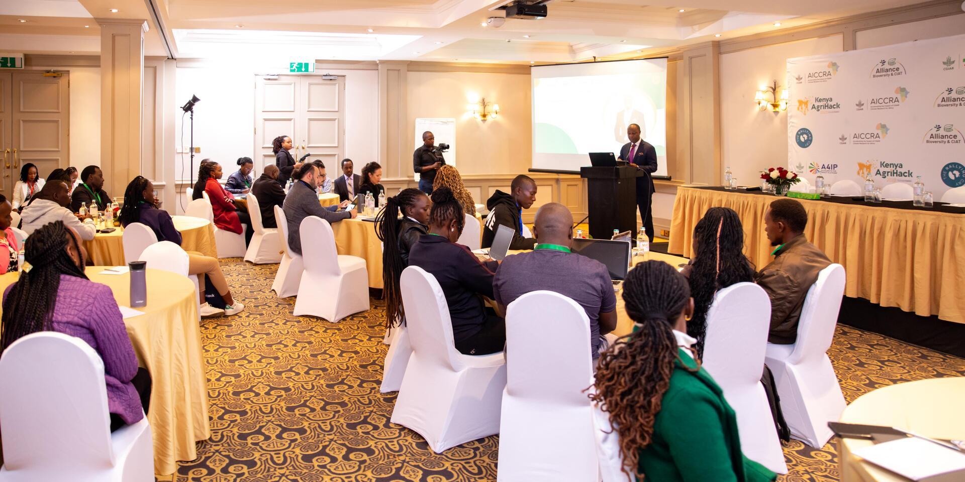 Enhancing Agricultural Practices: Insights from the Impact of AICCRA&rsquo;s Kenya Agri Hackathon on Post-Harvest Losses - Alliance Bioversity International - CIAT