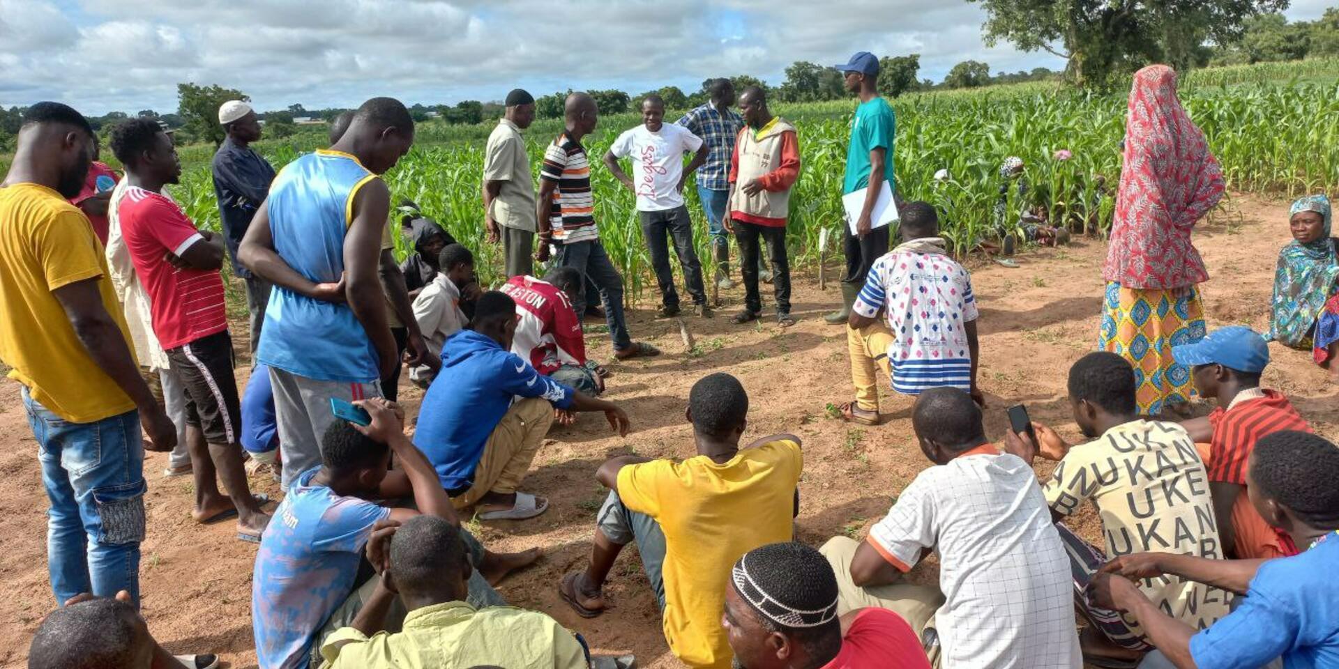 Enhancing Agricultural Resilience in Smallholder Farmers in Ghana - Alliance Bioversity International - CIAT