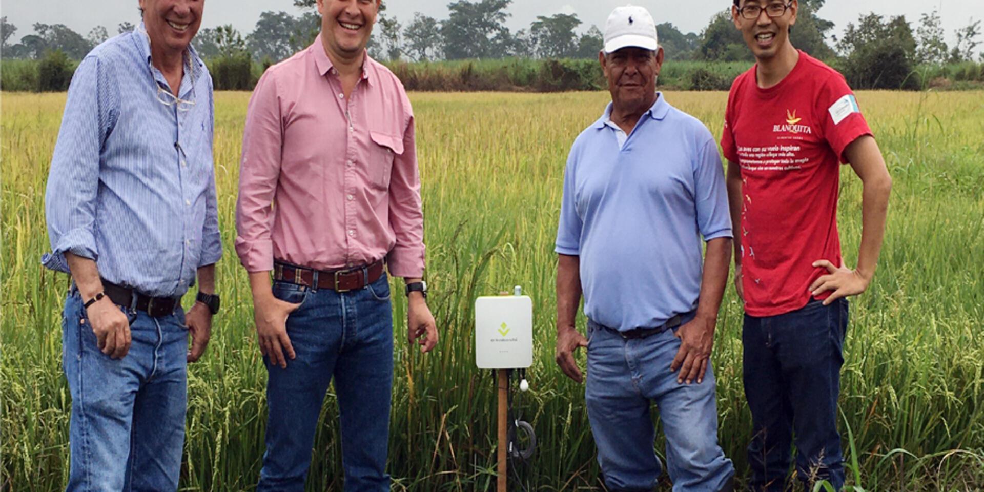 Agriculture AI Brain