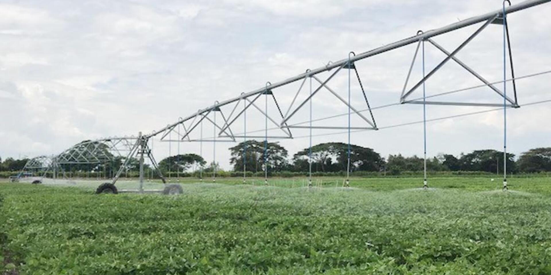 Operaciones de campo, aliado clave para los cultivos del CIAT