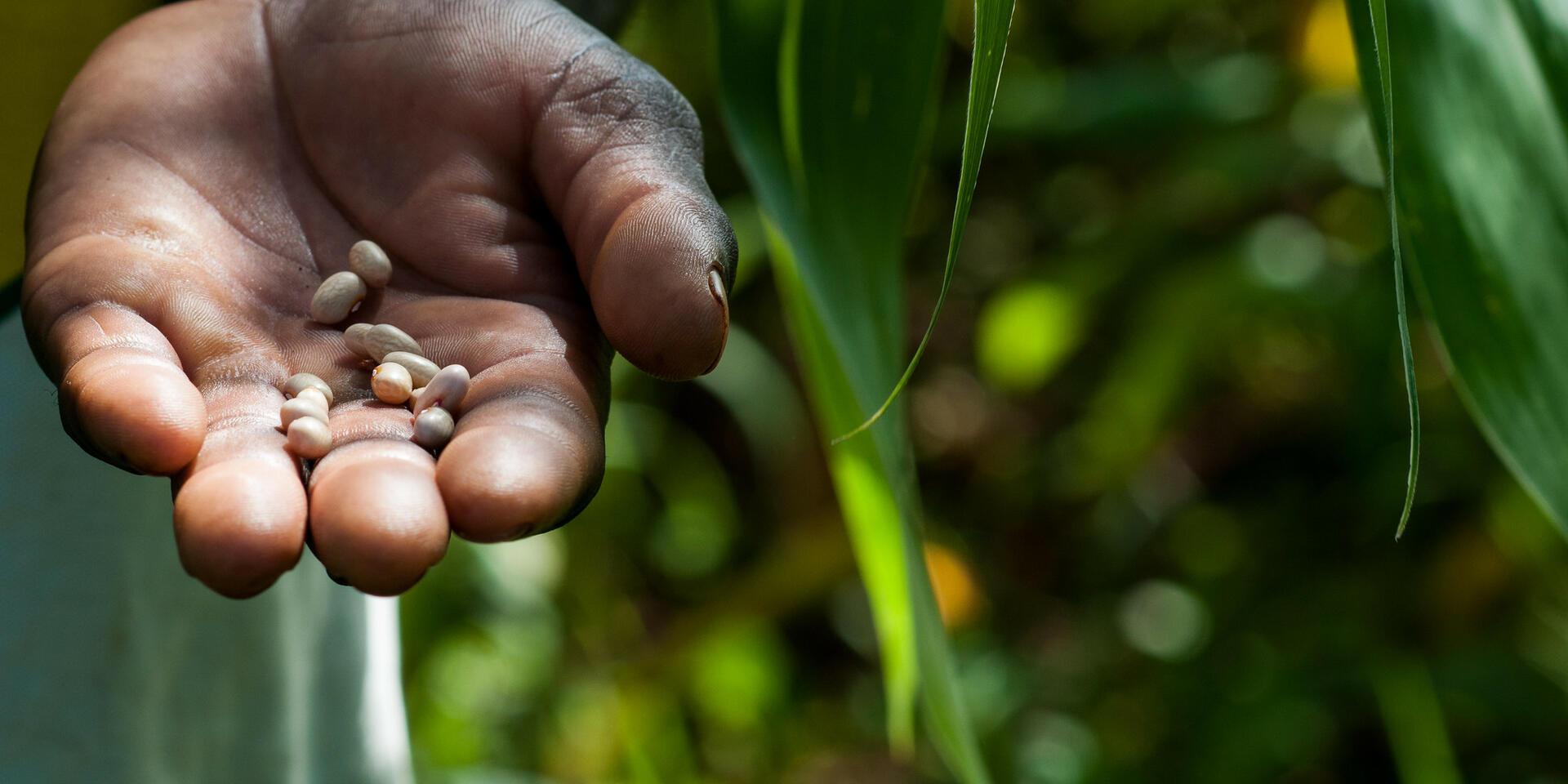 Finances - Annual Report 2025 - Alliance Bioversity International - CIAT