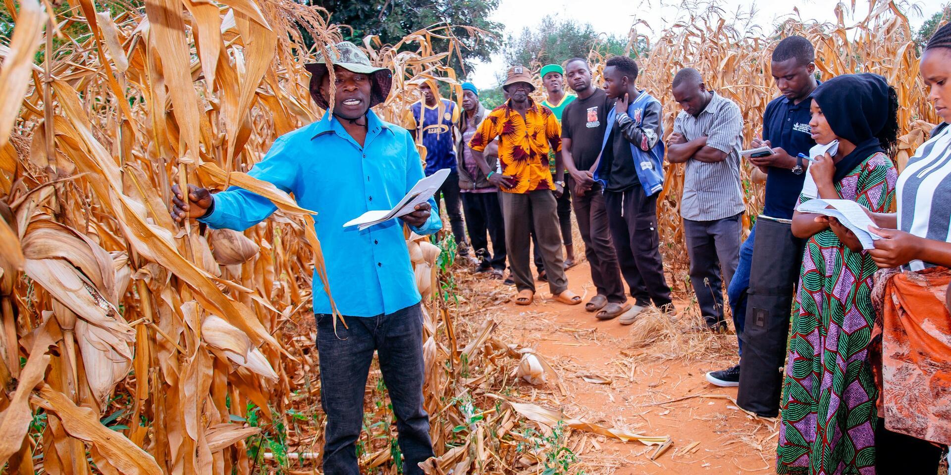 From demonstration to transformation -How partnerships and practice are reshaping farming in Kongwa district, Tanzania - Alliance Bioversity International - CIAT