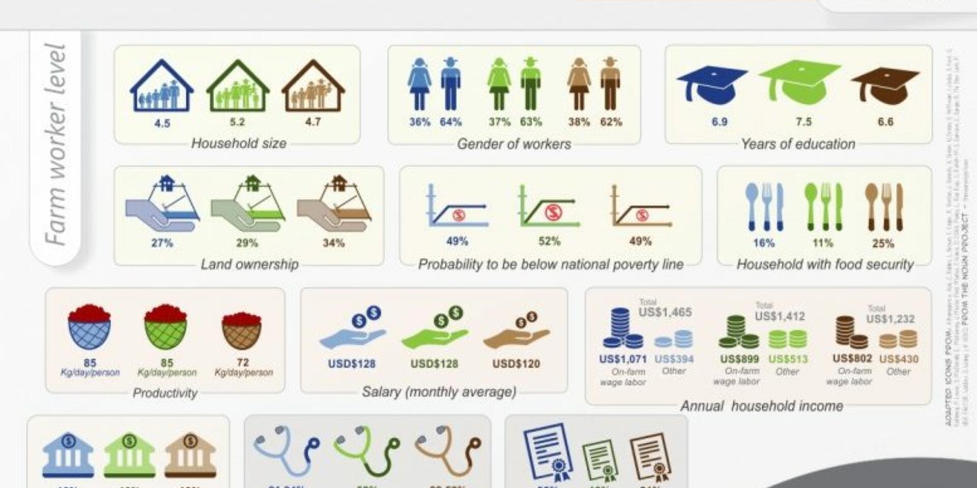 What is behind a cup of fair trade coffee