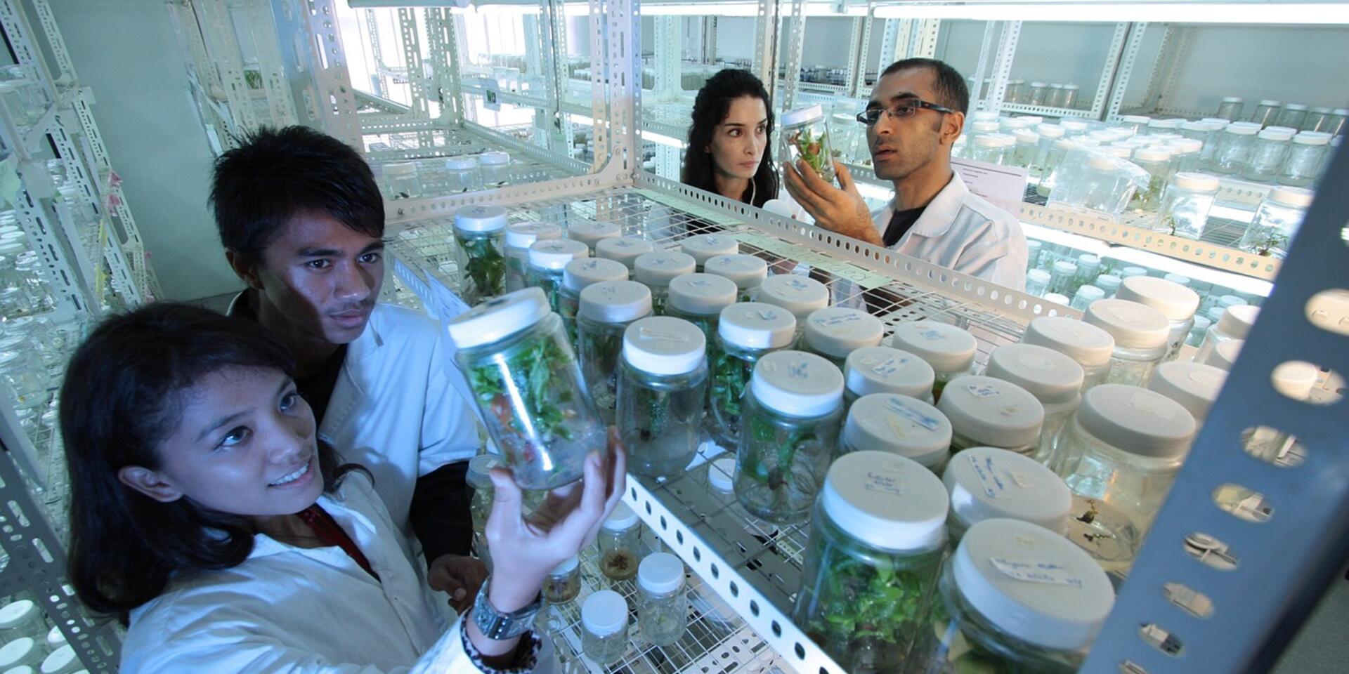 Appeal to G20 Policy Makers to Increase Public Funds Toward Agricultural research development  to Strengthen Enabling Environment for Innovation - Alliance Bioversity International - CIAT