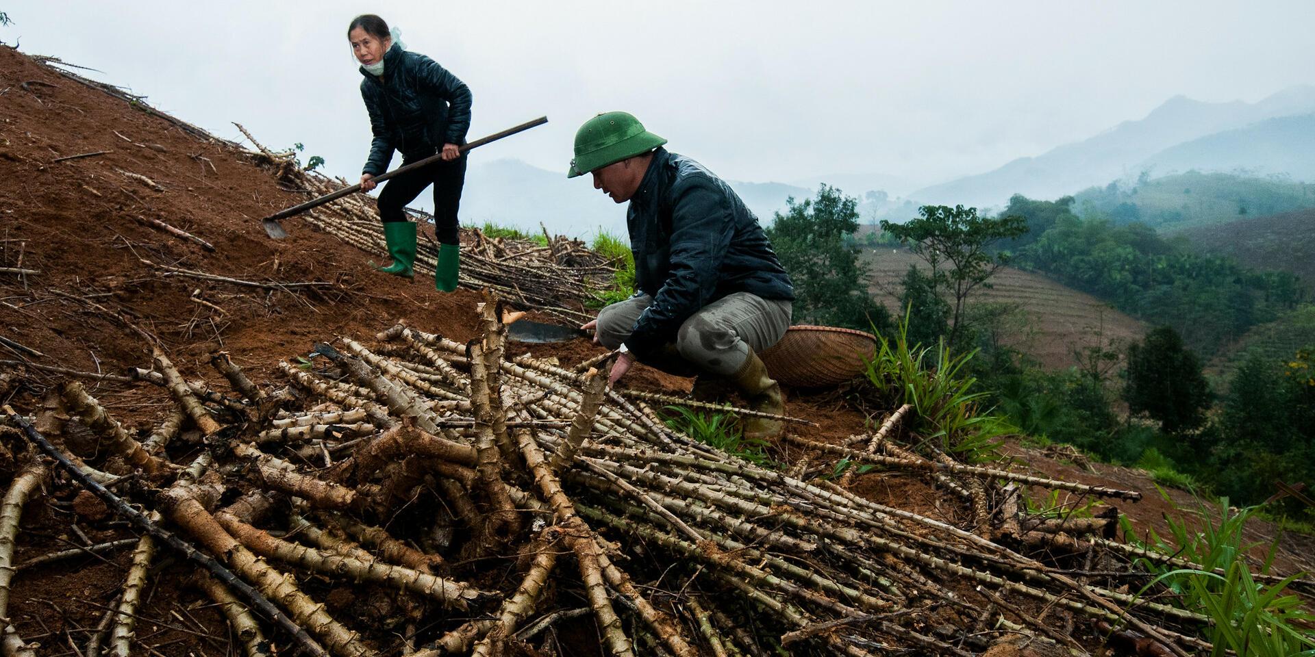 Gender in Climate Action - Alliance Bioversity International - CIAT
