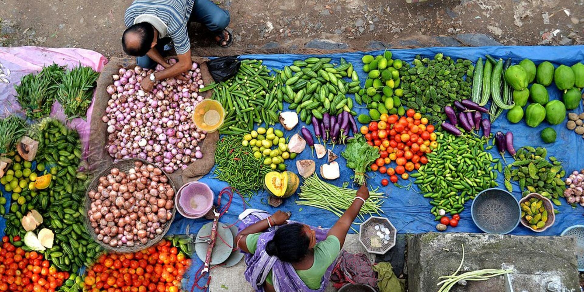 Gender and Social Inclusion in Biodiversity for Food and Agriculture - Alliance Bioversity International - CIAT