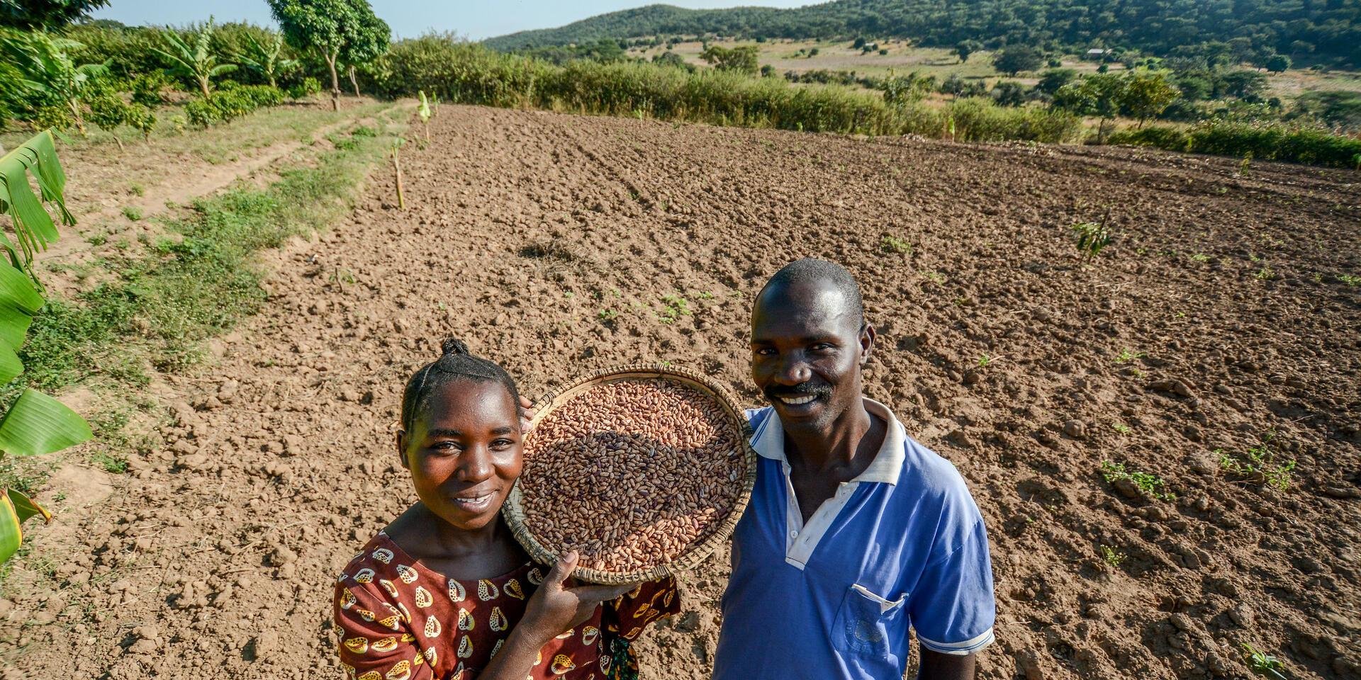Gender, Youth and Inclusion - Alliance Bioversity International - CIAT