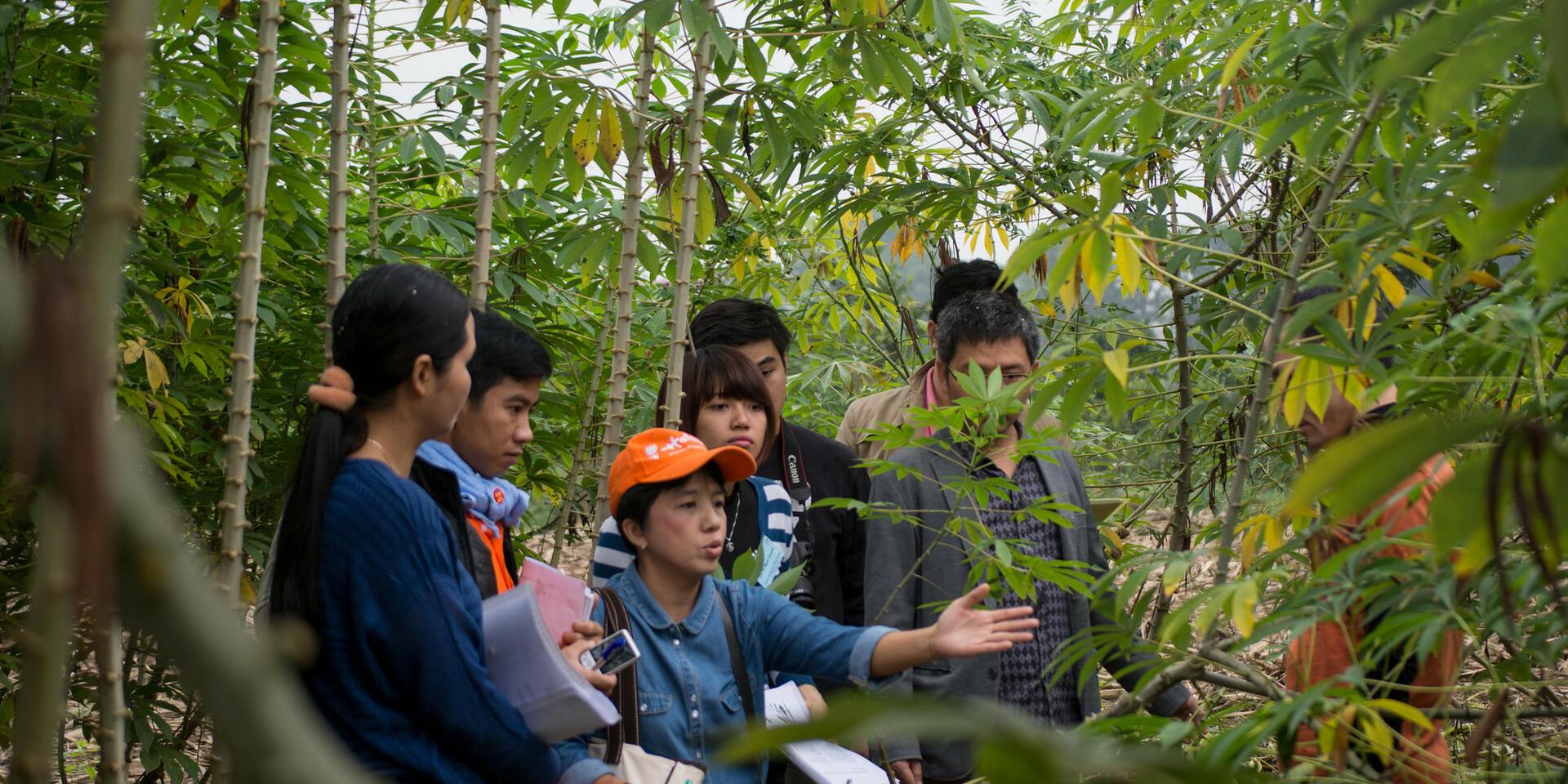 GenderUp - Scaling - Image 2 - Alliance Bioversity International - CIAT