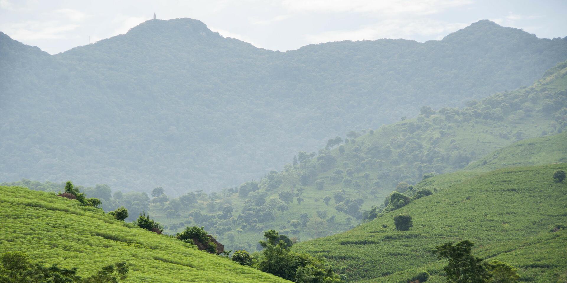 Geospatial Methodology for Identifying and Prioritizing Nature-Based Solutions - Alliance of Bioversity International and CIAT