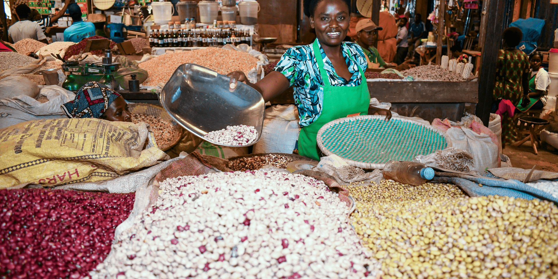 Greens and beans at the center of nutritious and resilient food systems - Alliance Bioversity International - CIAT