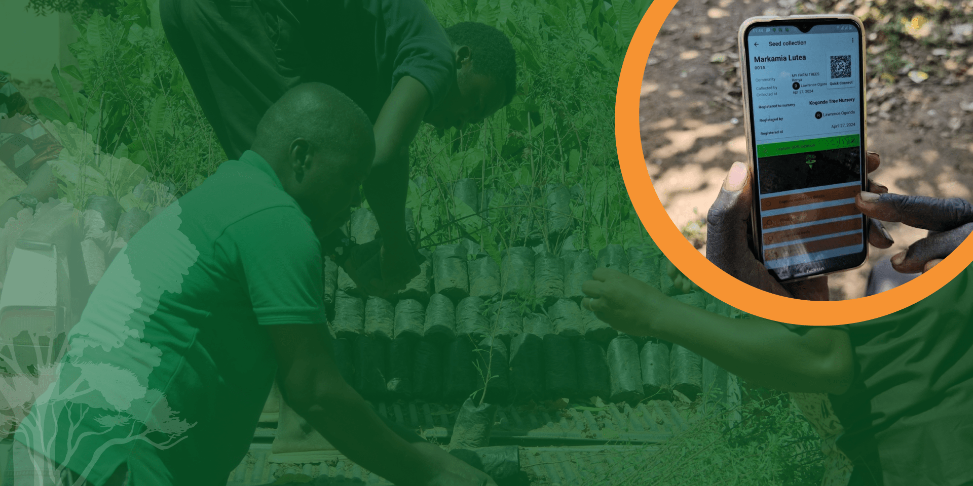 Grow Trees. Grow Futures. Restore landscapes with farmers. - Alliance of Bioversity International and CIAT