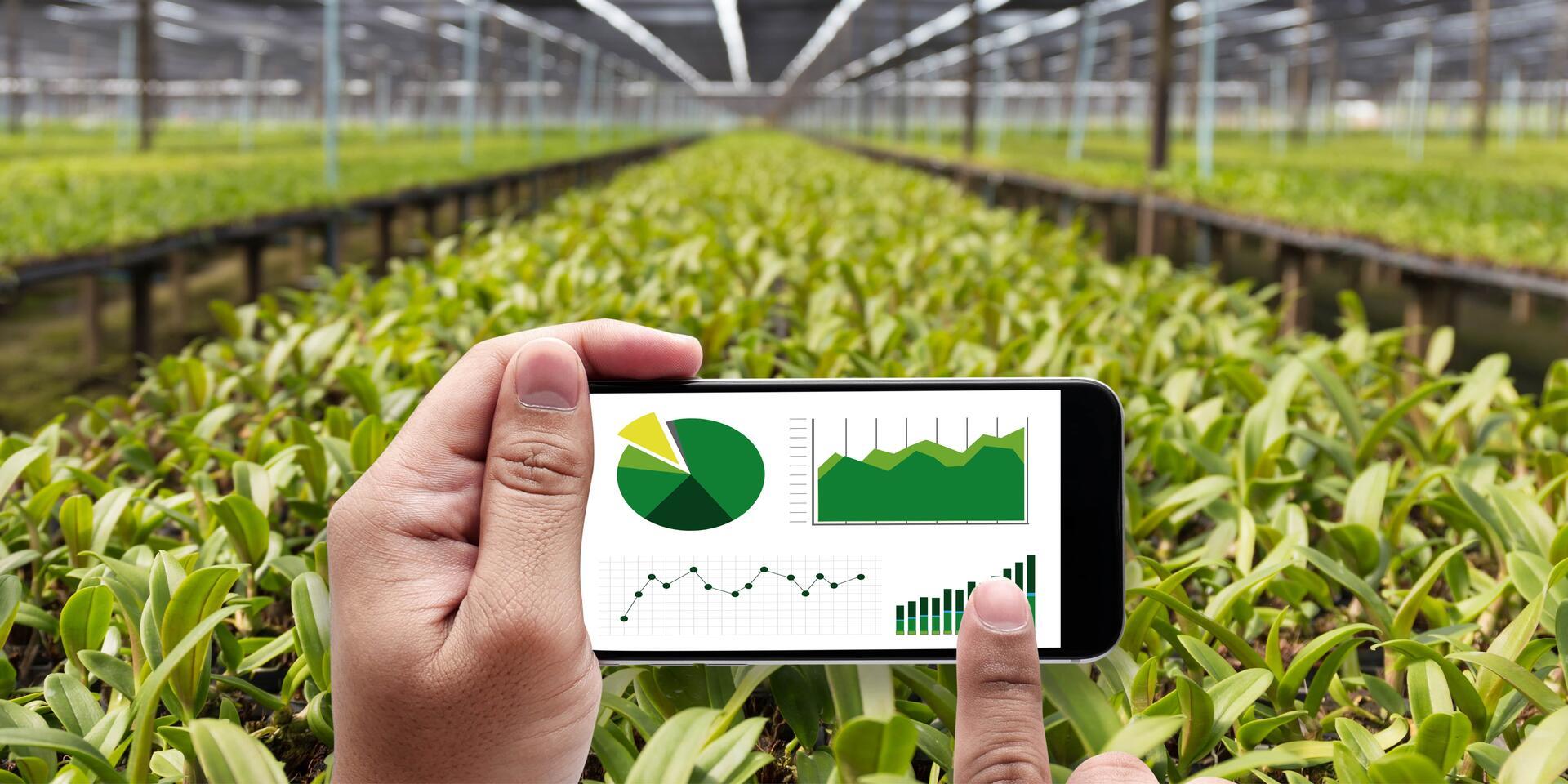 Hack4DigitalVillages Innovation Challenge - Co-creating and prototyping solutions to address critical agricultural challenges of the Fergana Valley of Uzbekistan - Alliance Bioversity International - CIAT