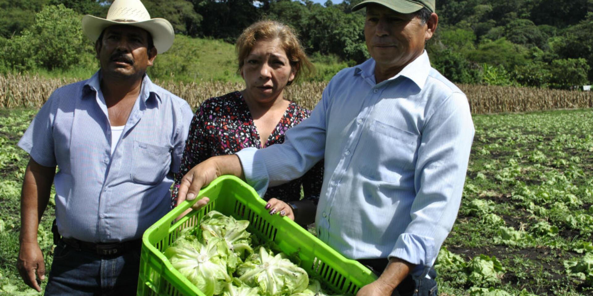 Promoting business models that benefit women and men farmers: CIAT pilots LINK methodology with gender lens