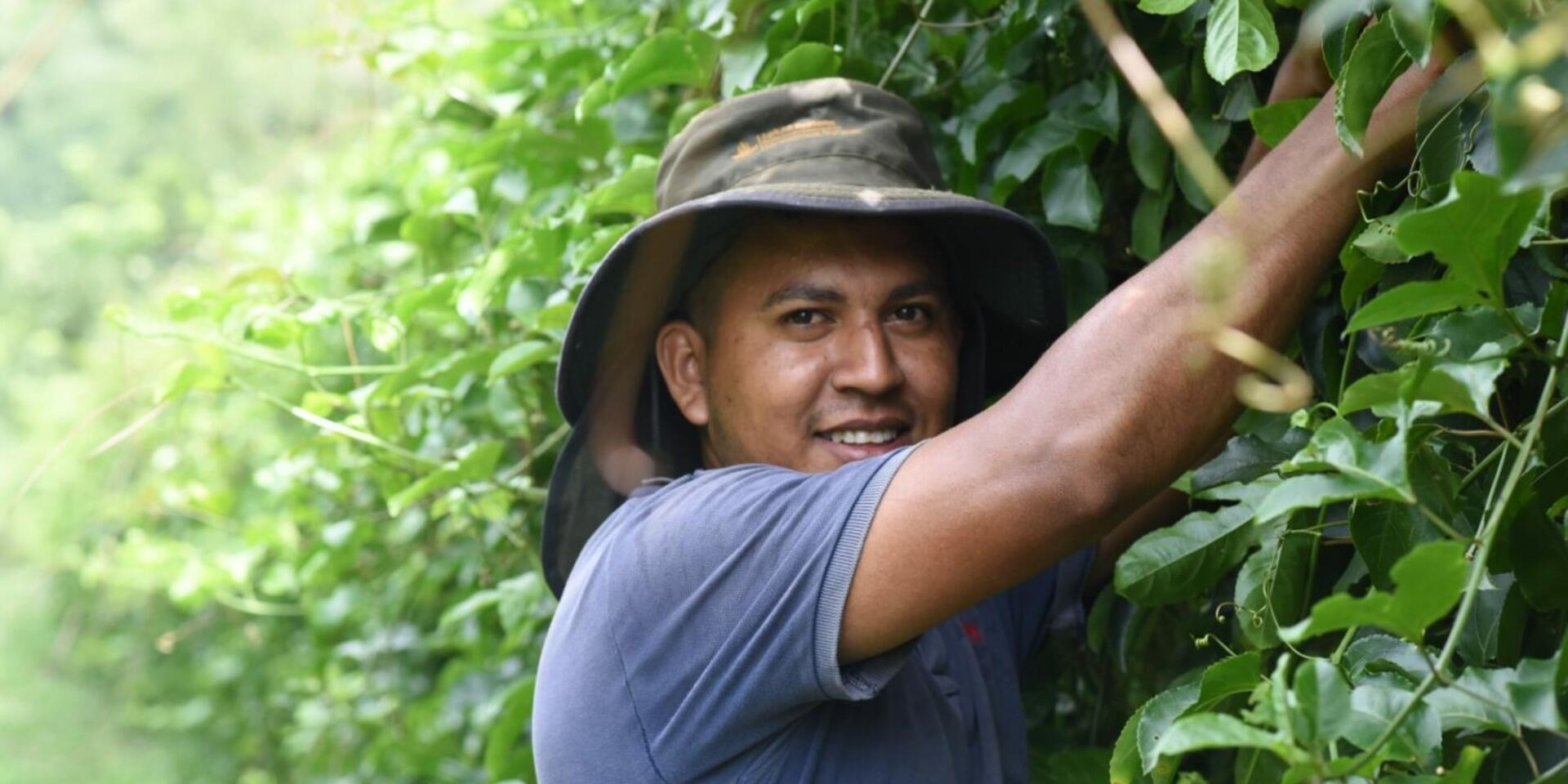 Honduras - Alliance Bioversity International - CIAT