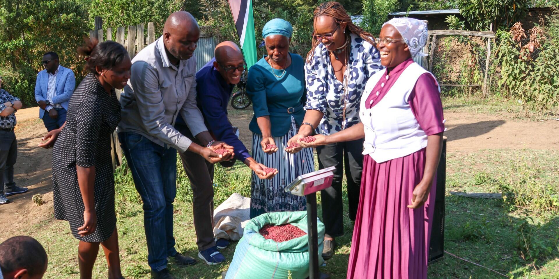 How a bean farmer becomes bankable Connecting demand, markets and investment