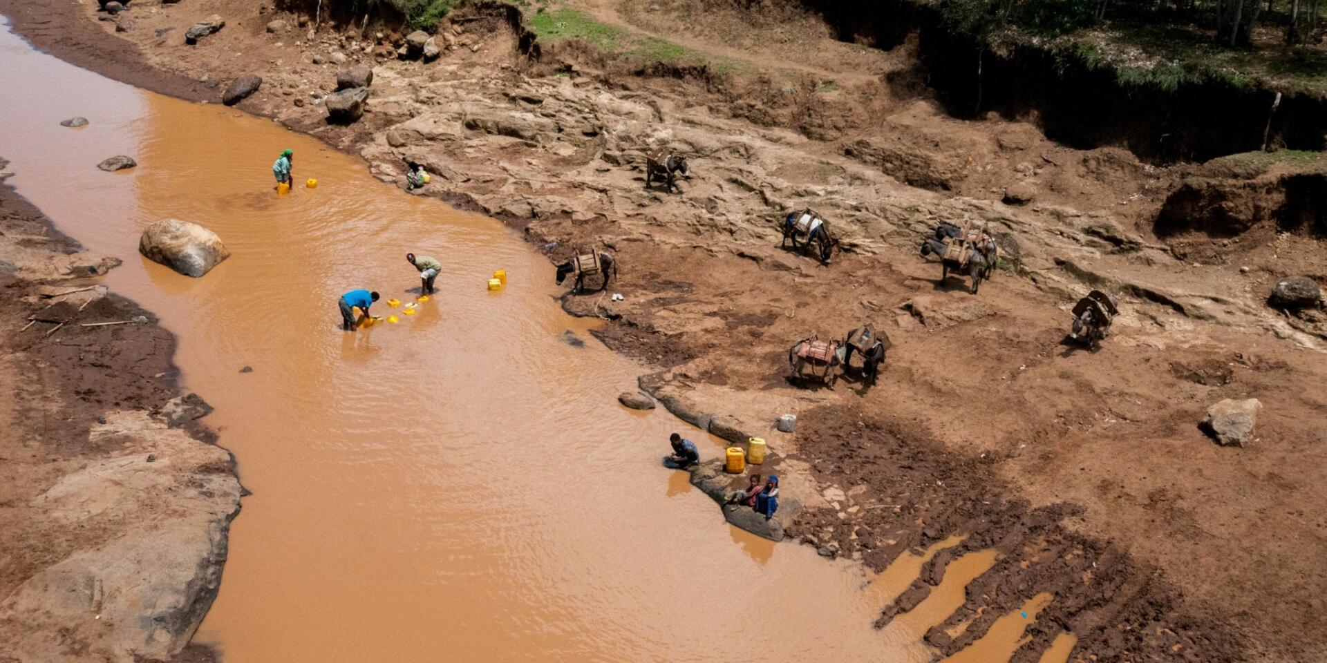 How can countries prevent shocks and disasters from turning into food crises - Science points to Resilience