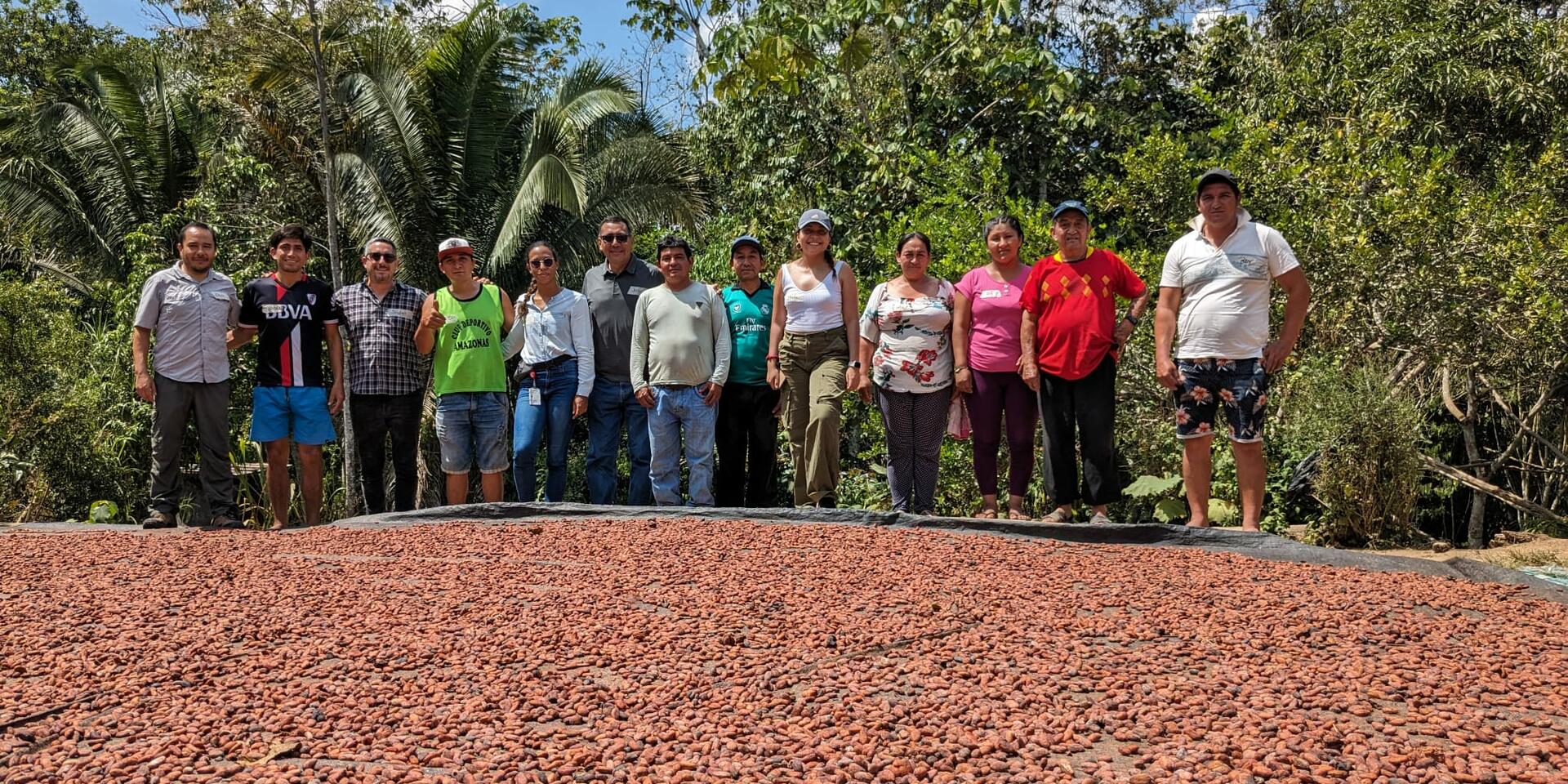 How to integrate Agroecological Principles into Peru's Cocoa Business Model for Sustainable and Resilient Agriculture - Alliance Bioversity International - CIAT