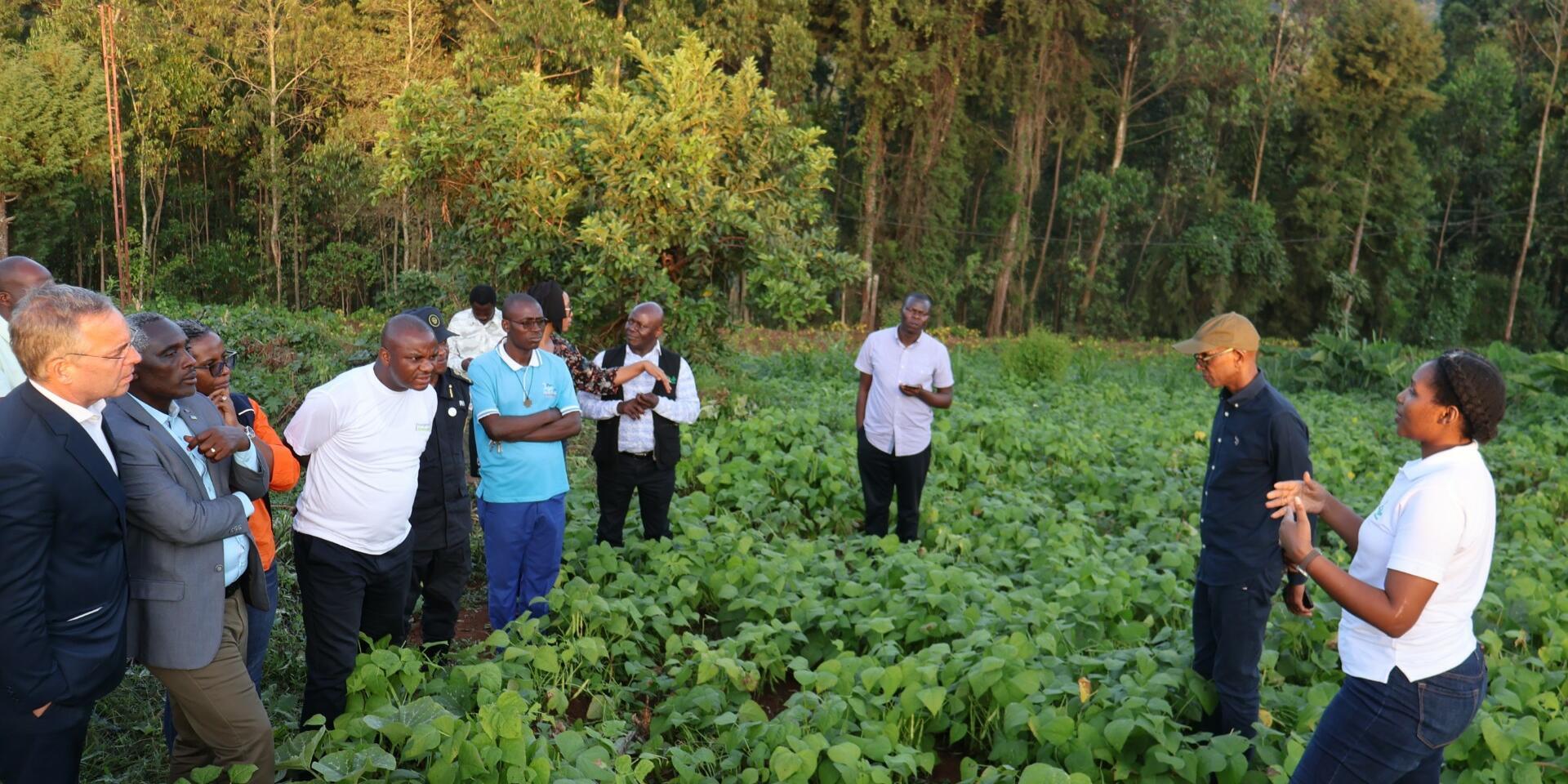 Hunger meets its match - PABRA&rsquo;s school feeding initiative reaches 509 Rwandan Schools