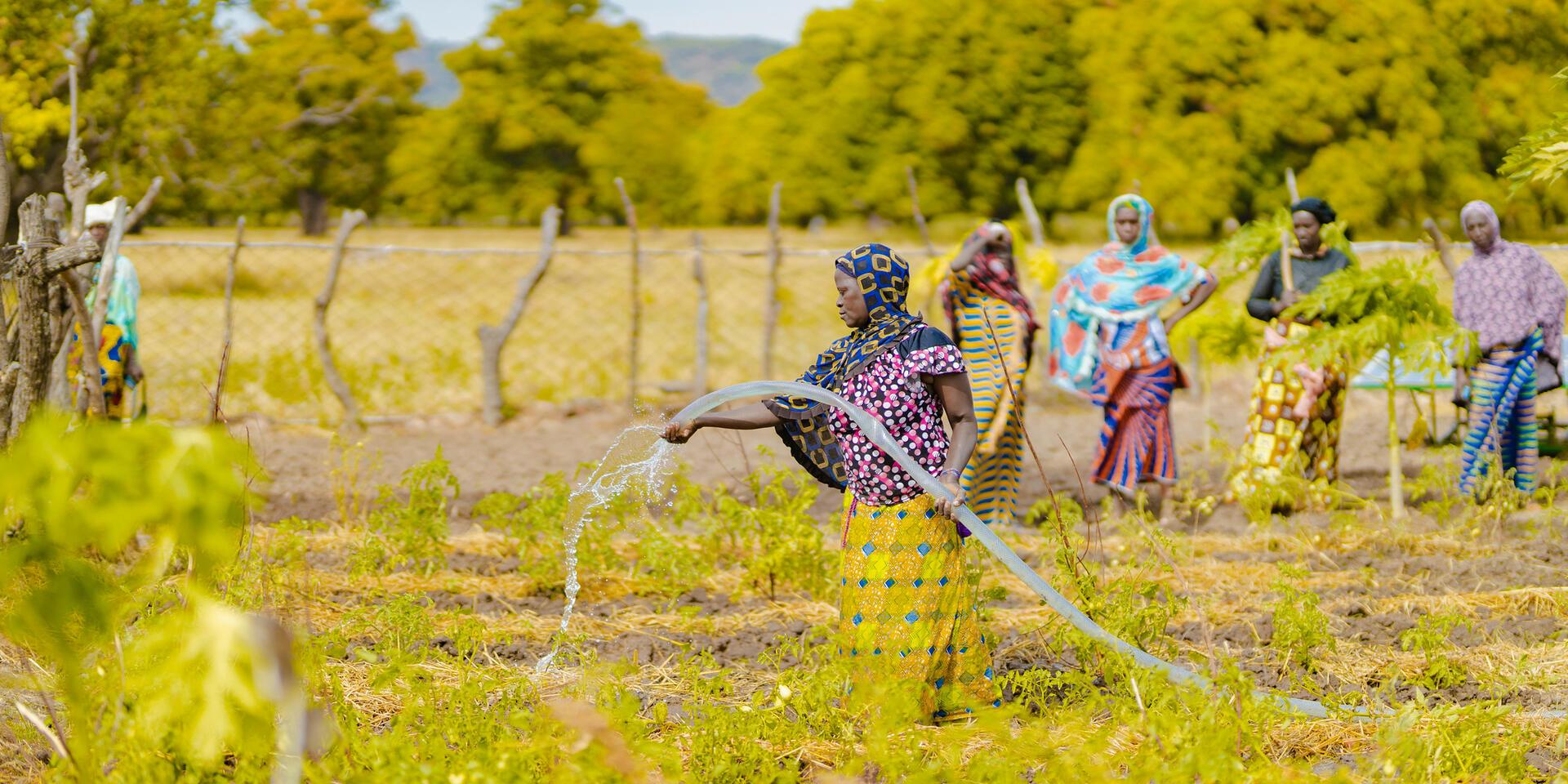 If the science existed, why did it take so long to reach farmers - Image 2