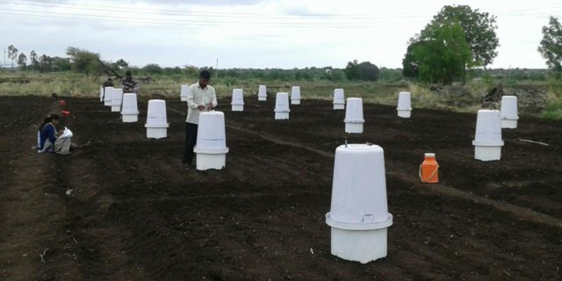 Measuring the impact of sustainable agricultural practices on greenhouse gas emissions in India