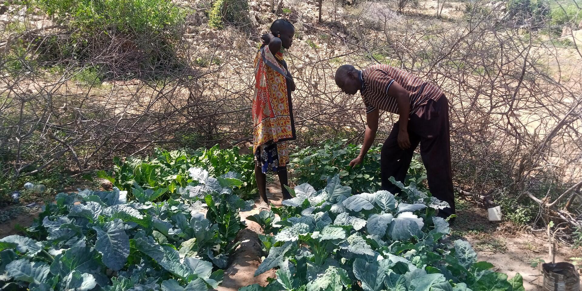 How Turkana's communities are cooking up the shift to healthier, more biodiverse diets