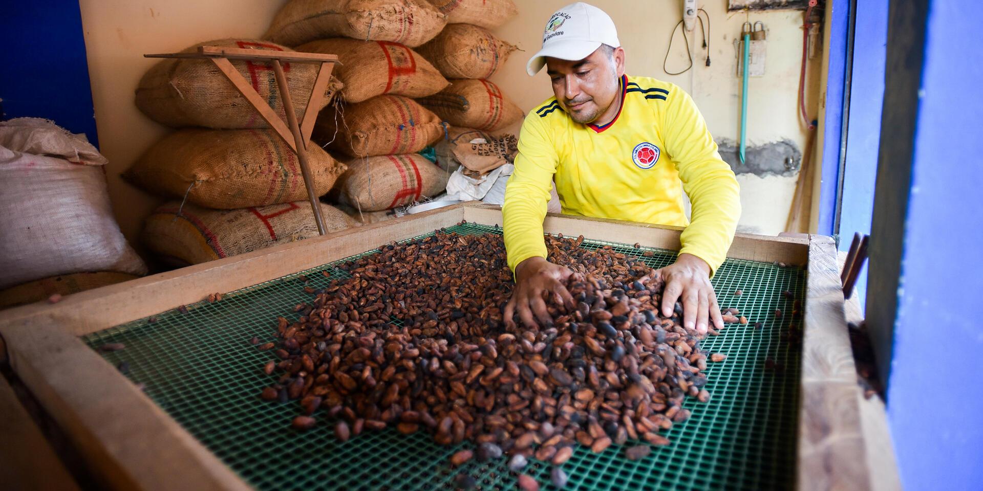 Implementaci&oacute;n de una estrategia de manejo de  residuos inorg&aacute;nicos con comunidades  cacaoteras - Alianza Bioversity International - CIAT