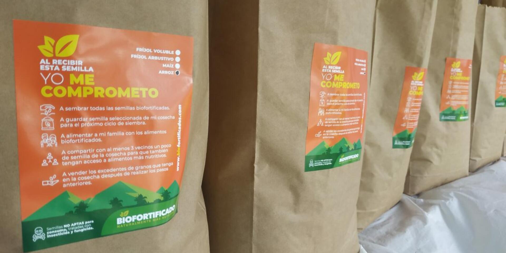 In three months, Colombian farmers will produce over 500 tons of biofortified foods - Alliance Bioversity International - CIAT