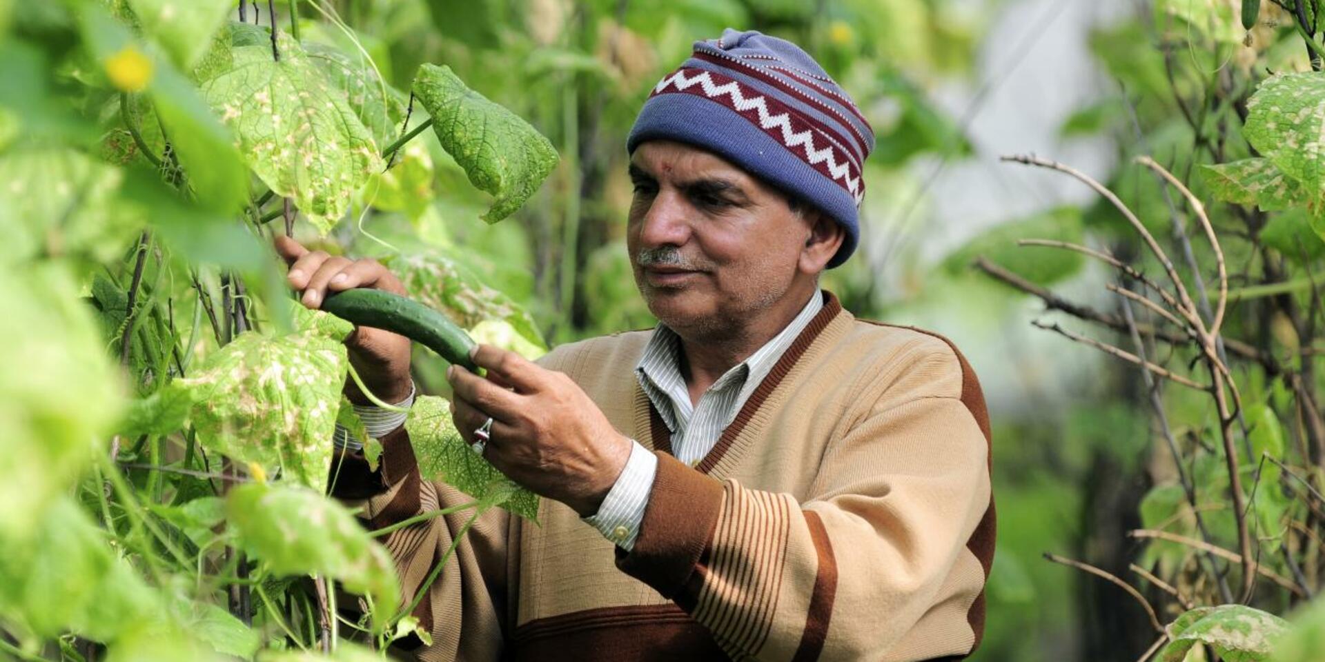 India - Alliance of Bioversity International and CIAT