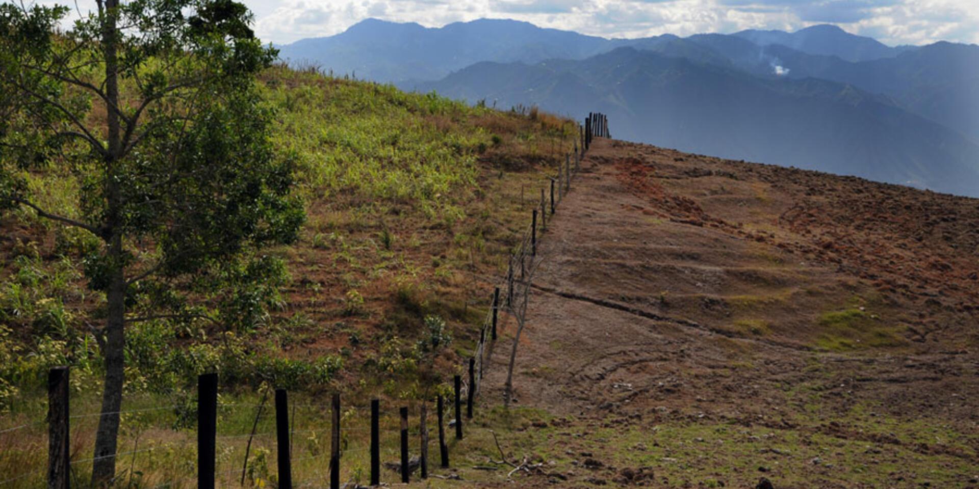 Se fortalece la alianza regional para recuperar tierras degradadas en Am&eacute;rica Latina