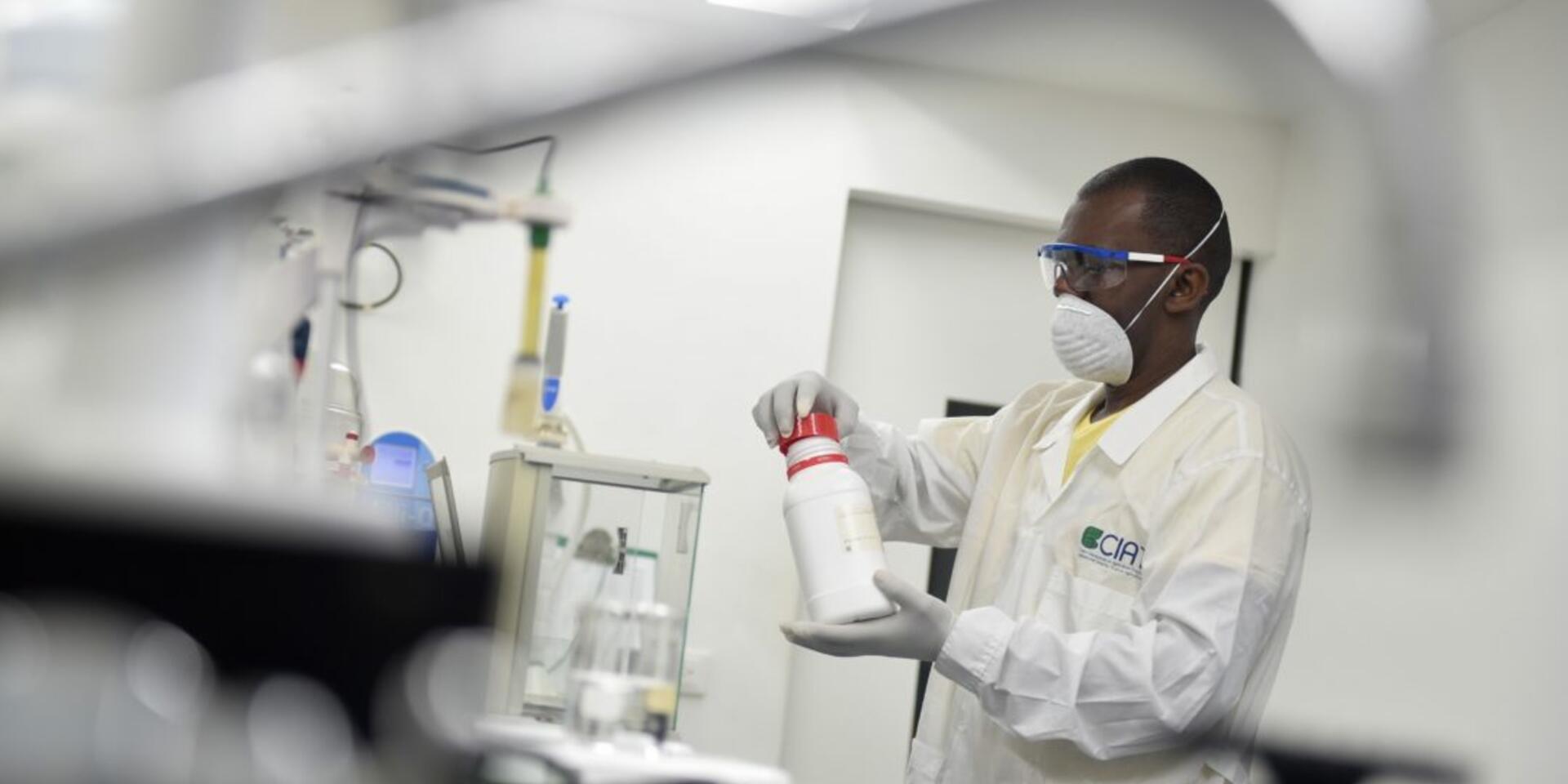 La respuesta de la Alianza de Bioversity y el CIAT ante los impactos del COVID-19 en los sistemas alimentarios mundiales