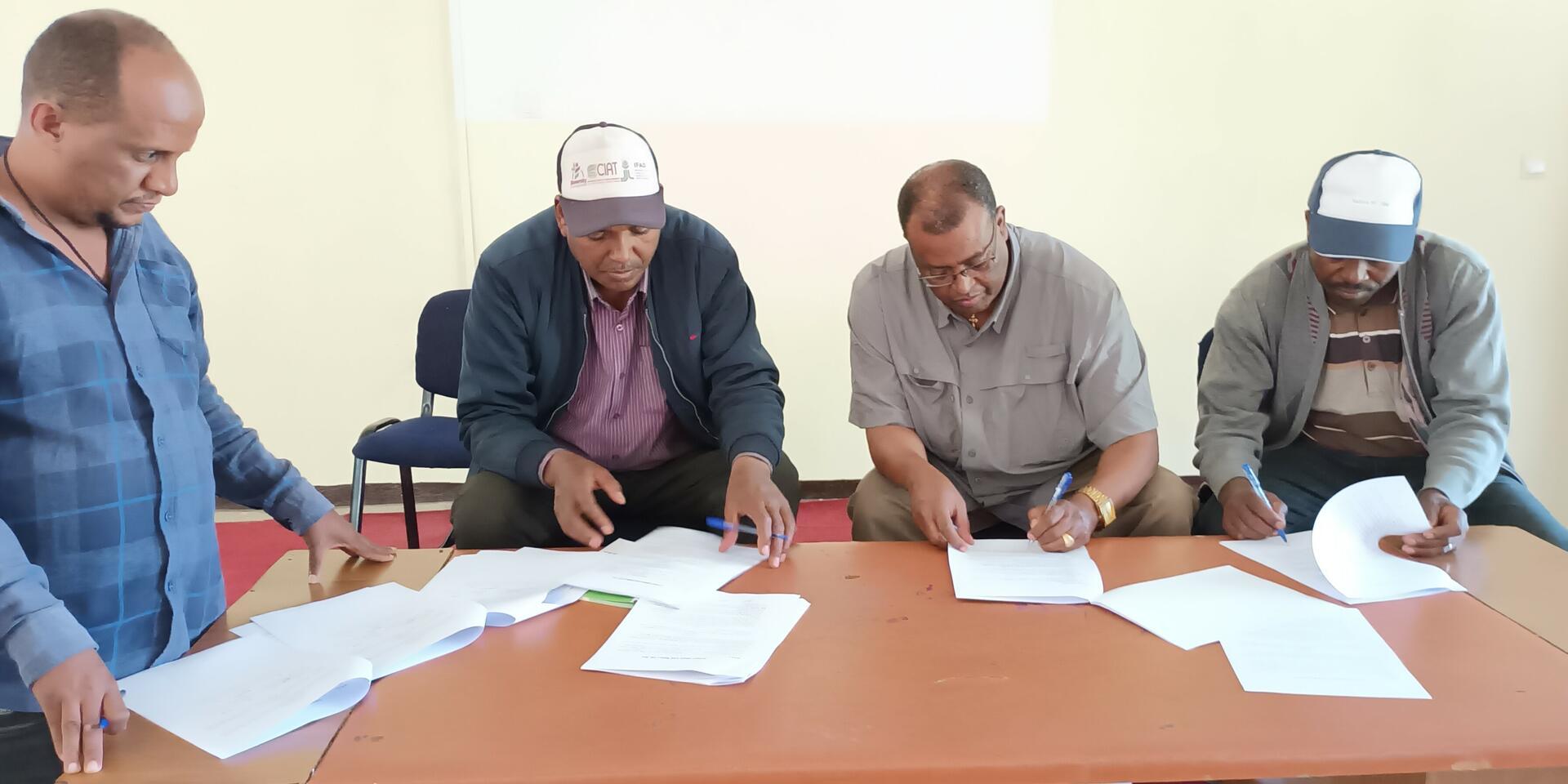 Landmark Agreement Paves the Way for Sustainable Durum Wheat Production and Livelihood Improvement in Ethiopia - Alliance Bioversity International - CIAT