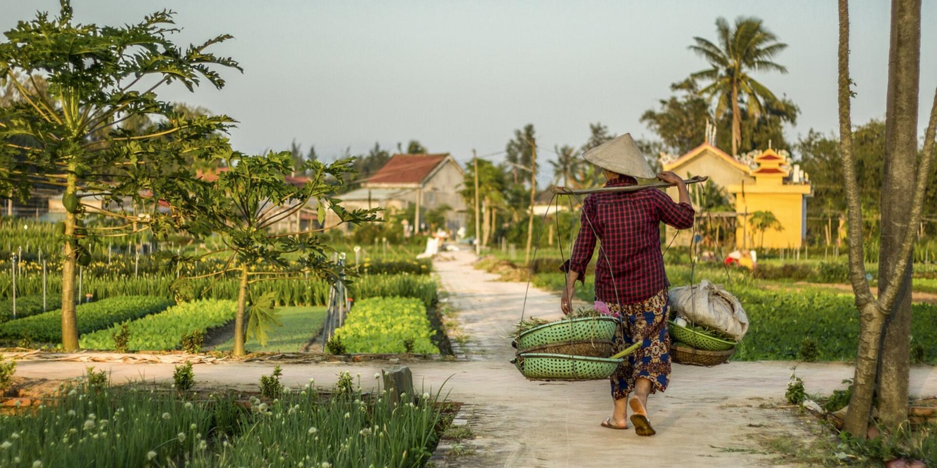 Cover Image - Lessons on the journey from lab to market venturing out with manhat and yieldsapp