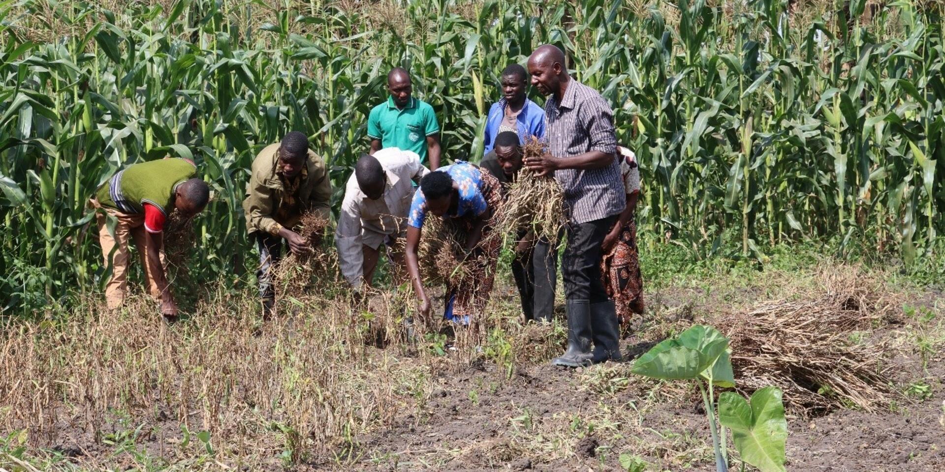 Local advisory platforms bridging climate science and farmer decision making