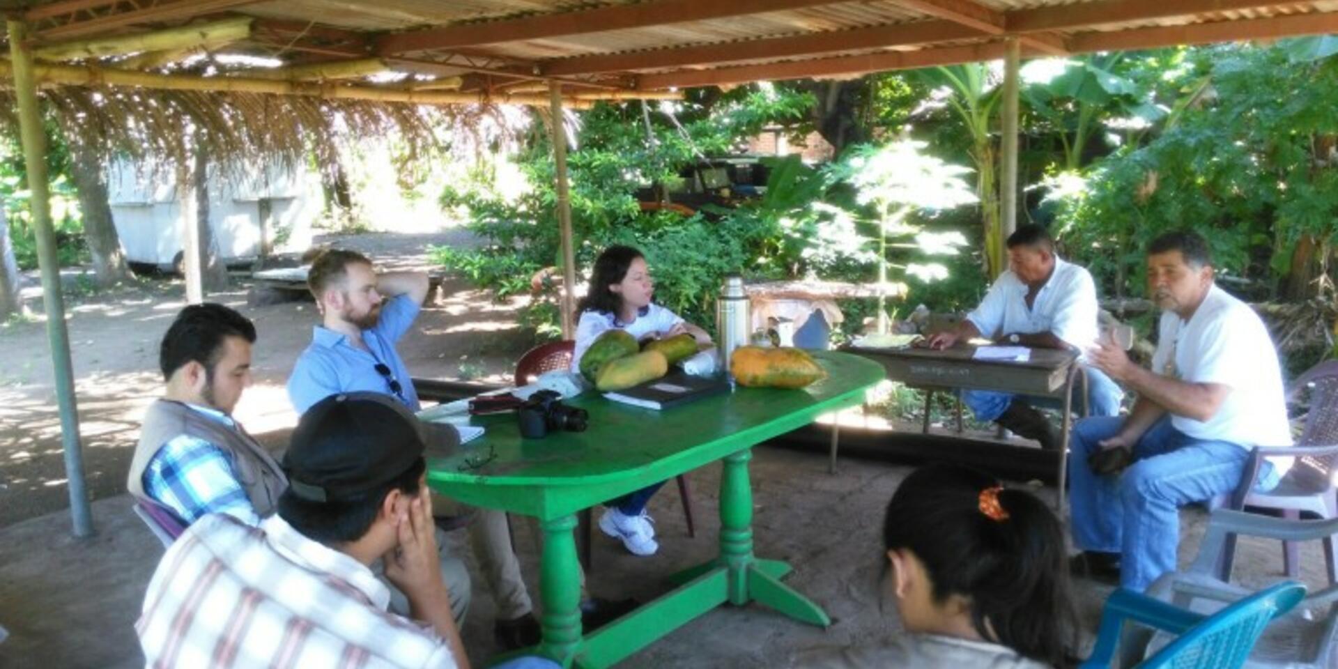 Two alliances working together on cocoa production in El Salvador